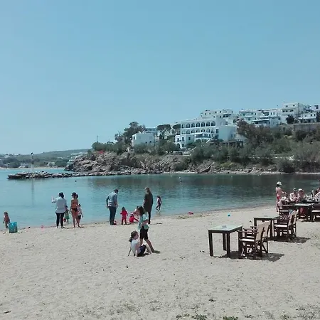 Londos بوسي لِفاذي